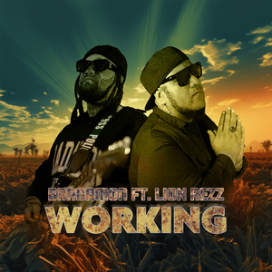 奖励小花园的视频
